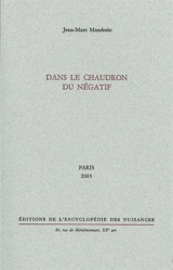 Dans le chaudron du négatif - Jean-Marc Mandosio