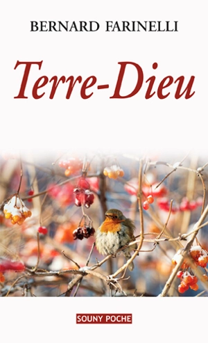 Terre-Dieu - Bernard Farinelli