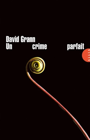 Un crime parfait : un polar postmoderne - David Grann