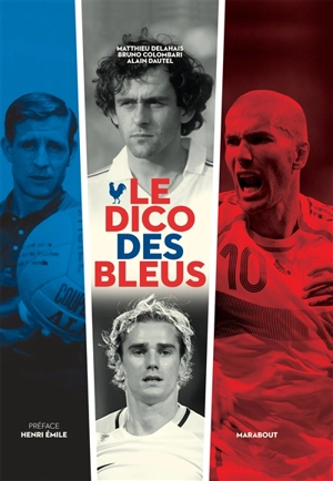 Le dico des Bleus - Matthieu Delahais