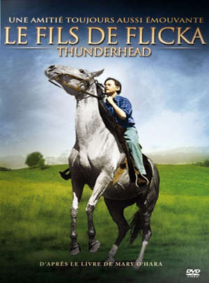 Le fils de Flicka