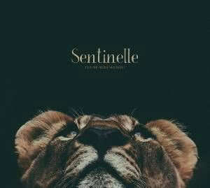 Sentinelle - Claire Bouchadeill