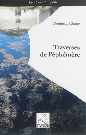 Traverses de l'éphémère - Dominique Sutter