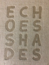 Echoes shades - Piotr Zbierski