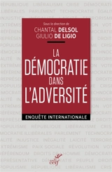 La démocratie dans l'adversité : enquête internationale