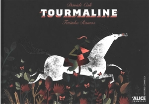 Tourmaline - Davide Cali