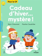 Cadeau d'hiver... mystère ! - Rémi Chaurand
