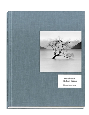 Des oiseaux - Michael Kenna
