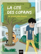 La cité des copains. Vol. 3. Un grand frère bizarre - Christine Palluy