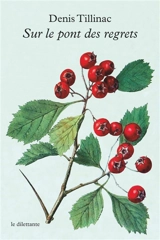 Sur le pont des regrets - Denis Tillinac