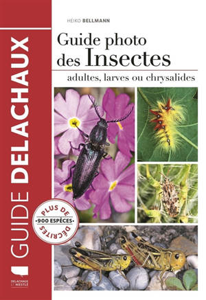 Guide photo des insectes : adultes, larves ou chrysalides - Heiko Bellmann