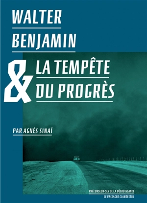 Walter Benjamin & la tempête du progrès - Agnès Sinaï