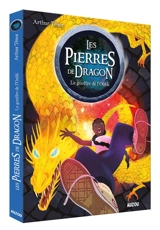 Les pierres de dragon. Vol. 2. Le gouffre de l'oubli - Arthur Ténor
