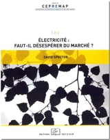 Electricité, faut-il désespérer du marché ? - David Spector