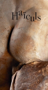 Haïculs : collections de l'Arles antique - Musée départemental Arles antique