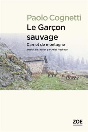 Le garçon sauvage : carnet de montagne - Paolo Cognetti