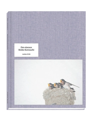 Des oiseaux - Rinko Kawauchi