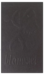 Carnet - Stéphane Blanquet