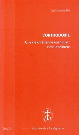 Une vie chrétienne épanouie : c'est la sainteté - Elie