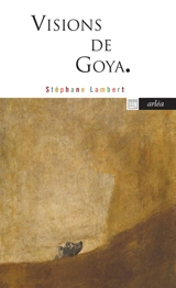 Visions de Goya : l'éclat dans le désastre - Stéphane Lambert