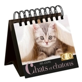 Chats et chatons : 365 jours - Géo (périodique)