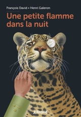 Une petite flamme dans la nuit - François David