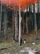 Rikuzentakata - Naoya Hatakeyama