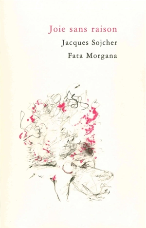 Joie sans raison - Jacques Sojcher