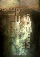 Le puits des âmes - Emilie Ansciaux