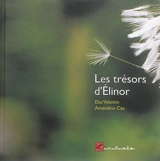 Les trésors d'Elinor - Elsa Valentin