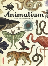 Animalium - Jenny Broom