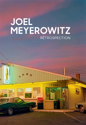 Rétrospection - Joel Meyerowitz