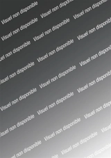 Marie-Antoinette et ses soeurs. Vol. 2. Premiers bals - Anne-Marie Desplat-Duc