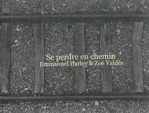 Se perdre en chemin - Emmanuel Darley