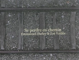 Se perdre en chemin - Emmanuel Darley