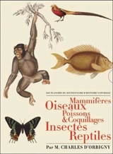 Les planches du Dictionnaire d'histoire naturelle : mammifères, oiseaux, poissons & coquillages, insectes, reptiles - Charles d' Orbigny