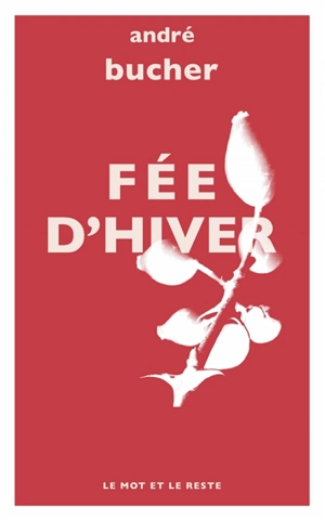 Fée d'hiver - André Bucher