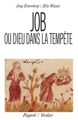 Job ou Dieu dans la tempête - Elie Wiesel