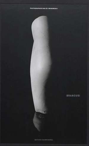 Brancusi - Dan Grigorescu