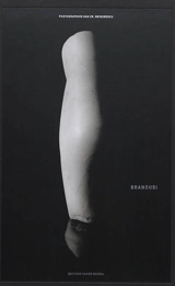 Brancusi - Dan Grigorescu