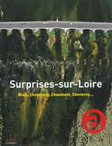 Surprises-sur-Loire : Blois, Chambord, Chaumont, Cheverny...